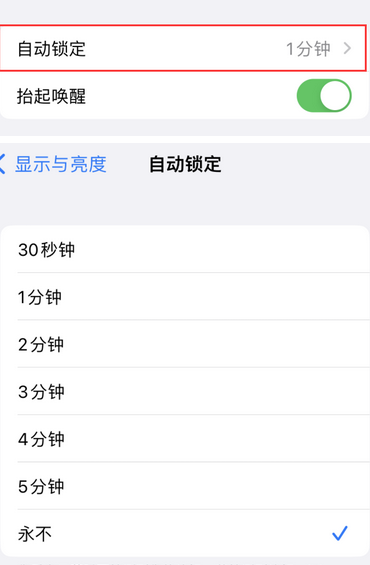 东凤镇苹果换屏维修分享无法调整iPhone自动锁屏的时间怎么办