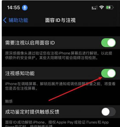 东凤镇苹果14维修网点分享iPhone14注视感知功能有什么用 